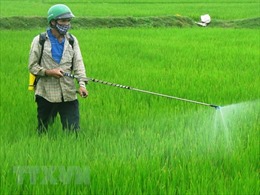 Bộ trưởng Nguyễn Xuân Cường: Kiểm soát chặt việc sử dụng thuốc bảo vệ thực vật 